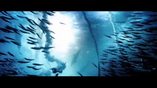 oceans