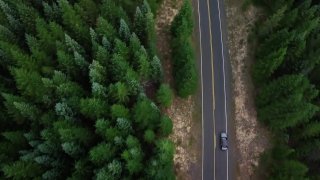 Pexels Videos 1394254